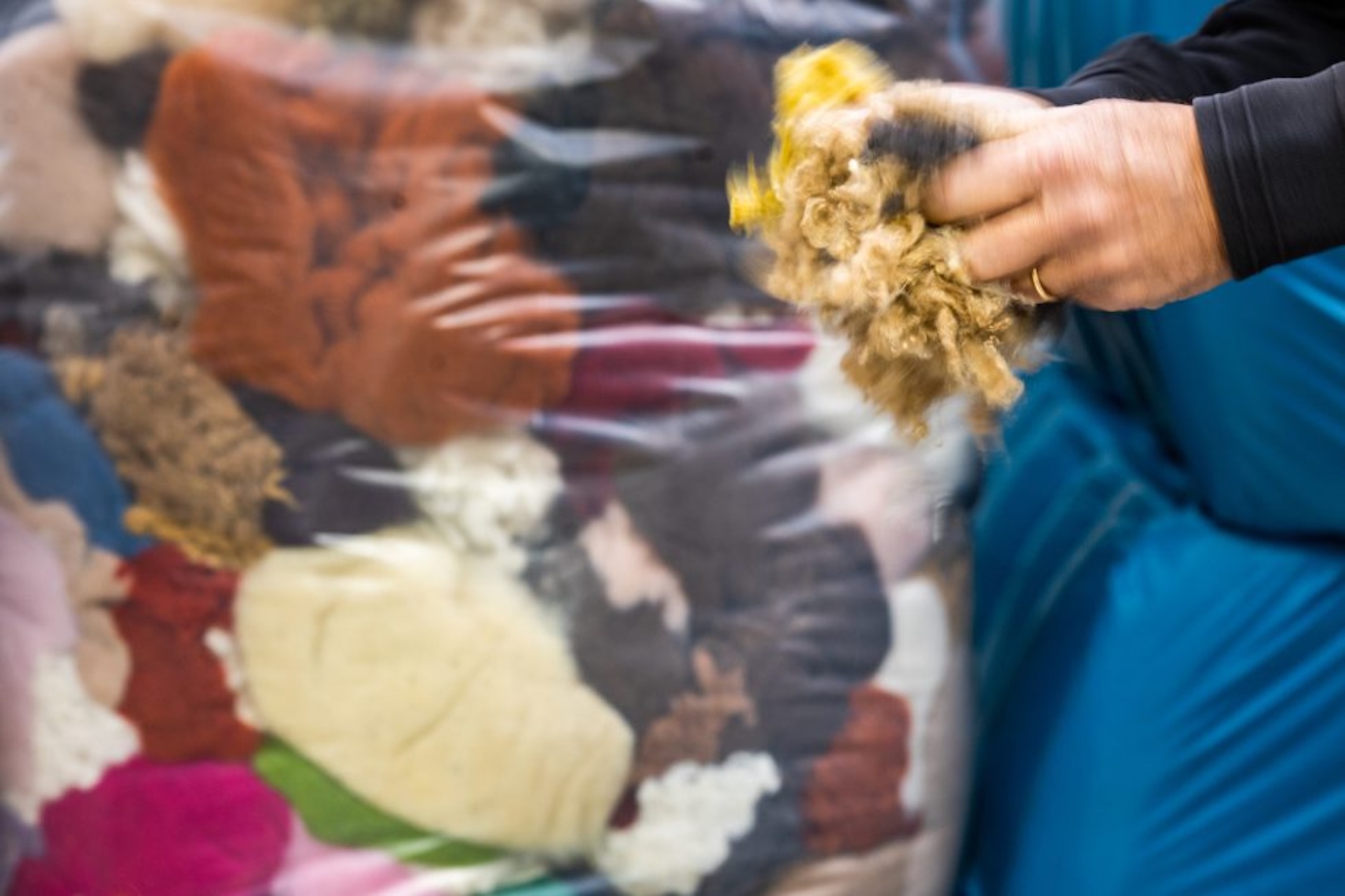 Fast fashion: cos’è e perché non è sostenibile